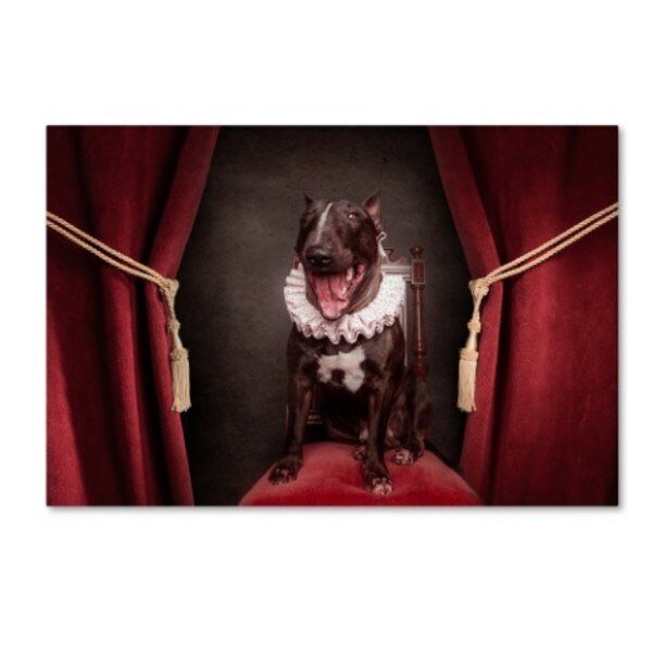 Heike Willers 'Welcome To The Show' Canvas Art, 12x19, Trademark Fine Art, Mfr#: 1X03763-C1219GG